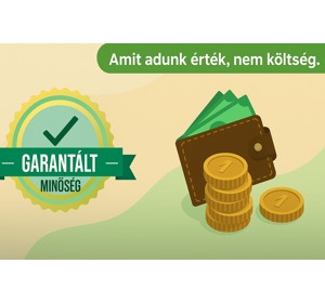 Gépi hímzés gyorstalpaló beszerzõknek