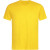 Sunflower yellow