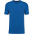 Light royal blue