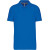 Light royal blue