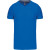 Light royal blue