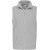 Snow grey
